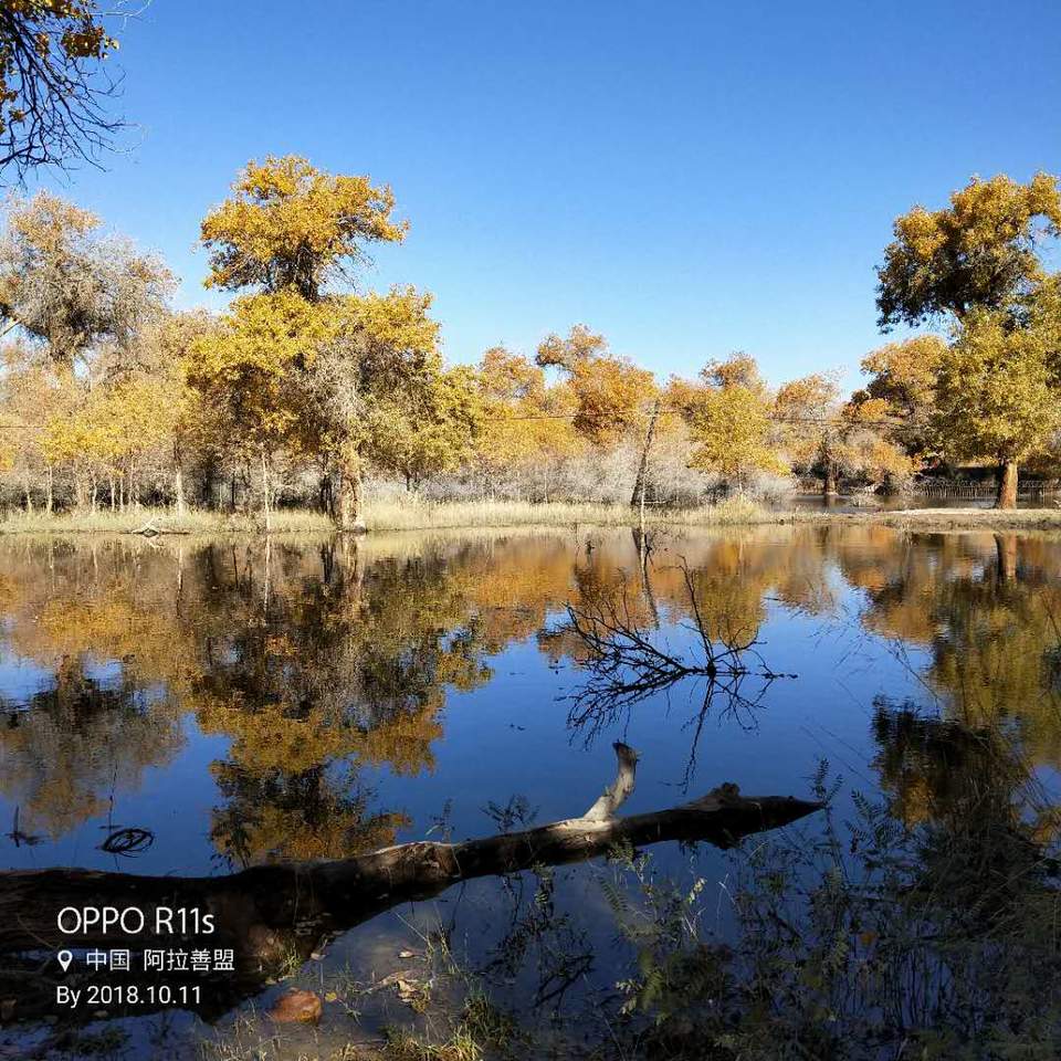 3fAT5d1aL9vDBIrDoCpfMPgIFUHCCEXsRjdsD_UikVRao9aL0jQqcYPMgxVgg-Zn