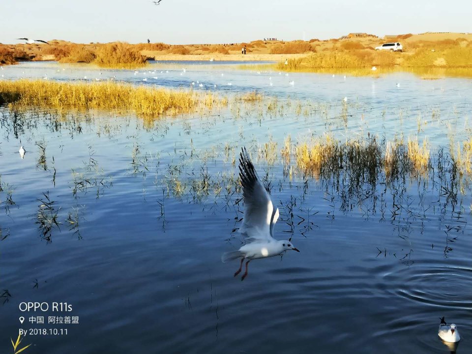 HXnupTRULesfHV8lIgVa6BfbXPegjFDAZAR8p9Og4tQ9vGneiUSTT4qSRWJn5DTy