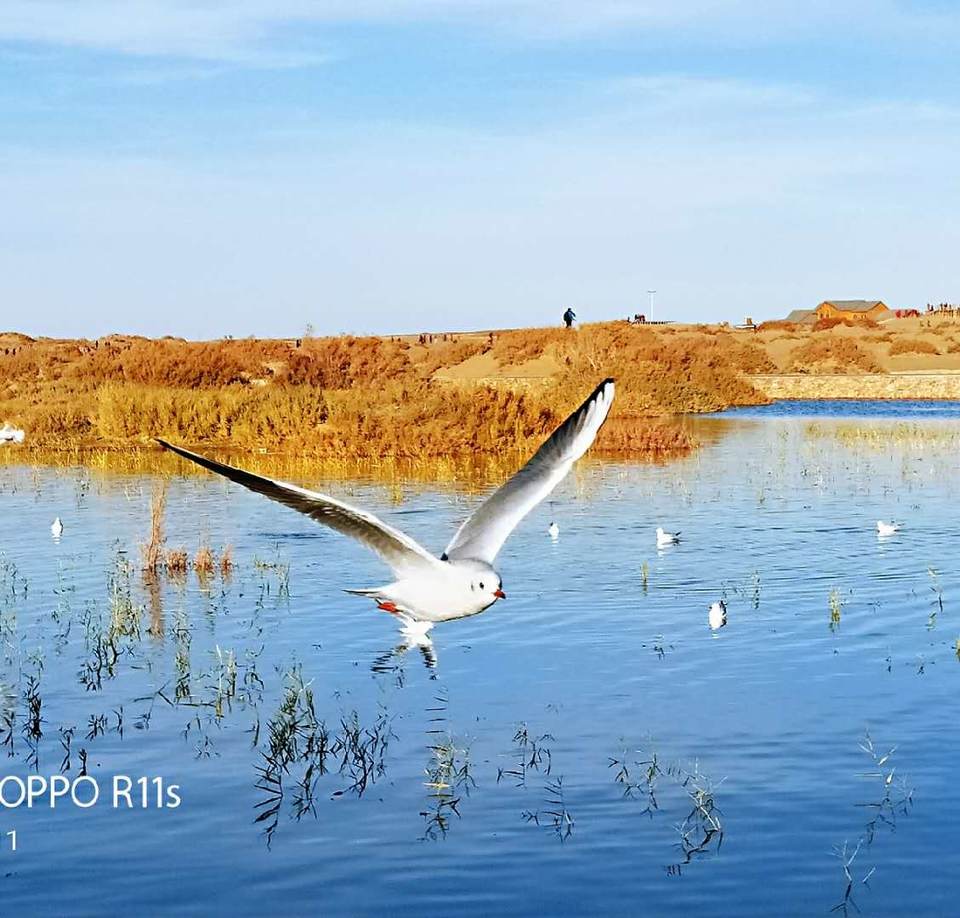 e52RKtmYzqy_cUqV3wBpXZxG5gh5sXUKipCG4ity-meYfBtF5AE1bGV0zp2vGZK-