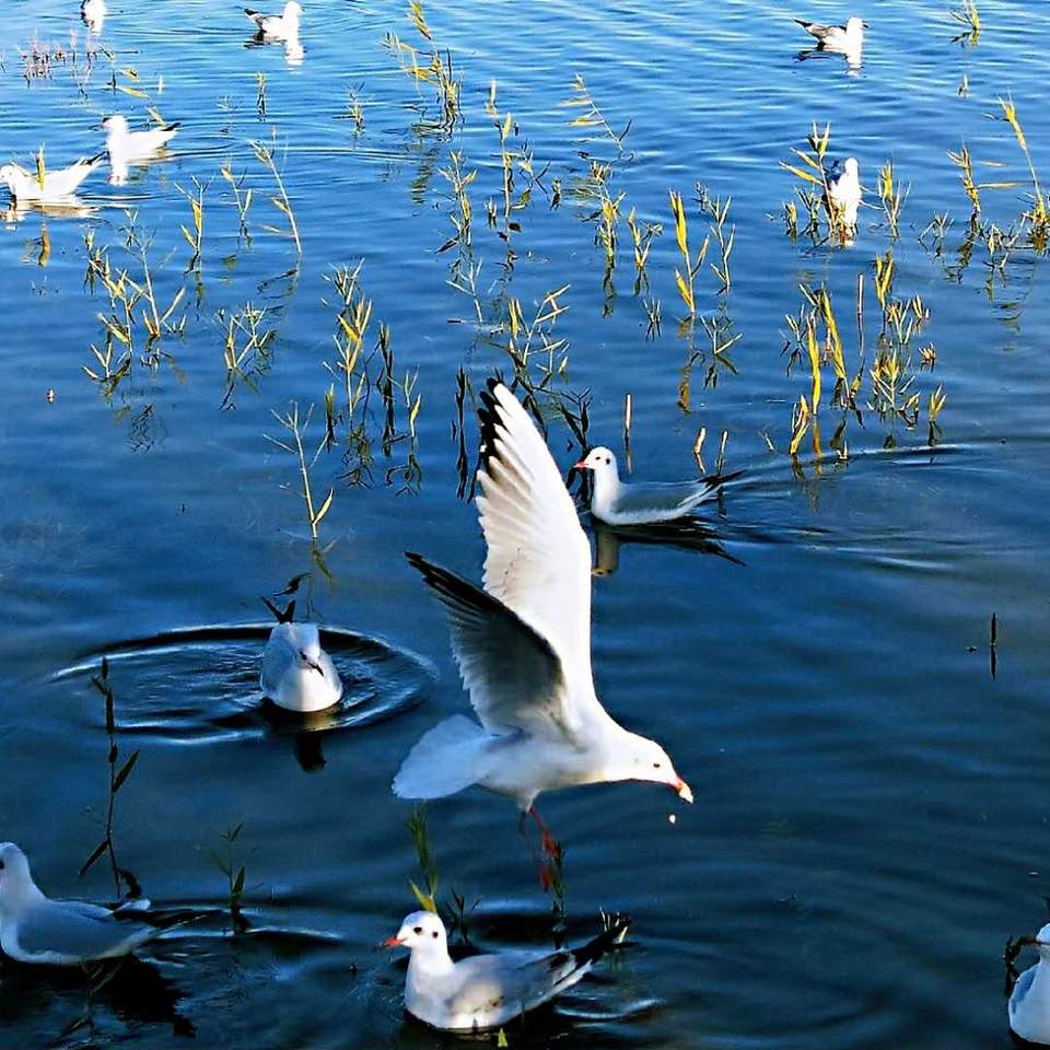 -F3dXXQhUEbhGYT7k9OGaspzpMusxBLQFK1rCeF41DeJUnIiffCUzzcDaTwuci1x