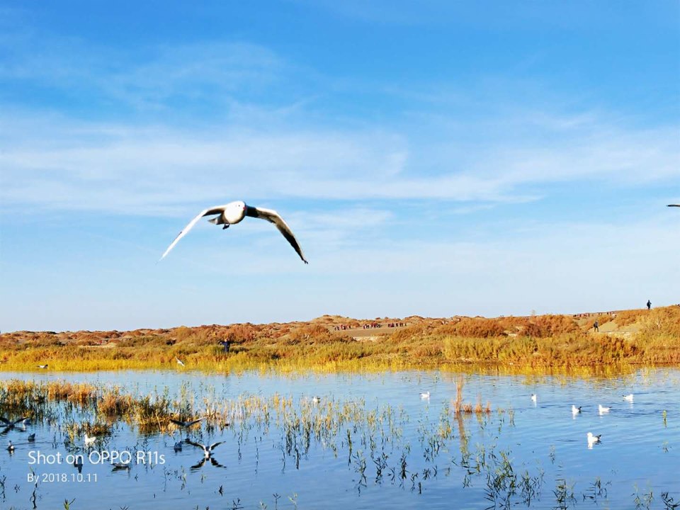 7gM4G71zclcz_XeJZNJHpDSRHioU8jC-q8iRc3hy-RiYncnv-DCrawrOhmP6RzEw