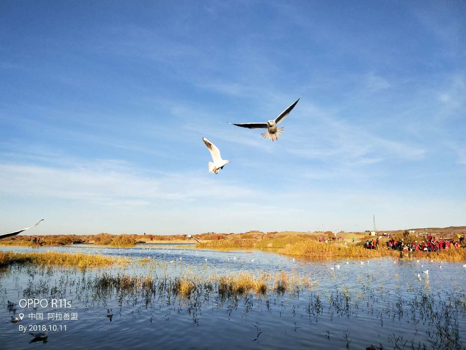 SMSLPzAEzY3jJNR1T35jIwhrwwTkk97v18RSt-Cpb2H7E8m1keJnxaYRF7toEHQe