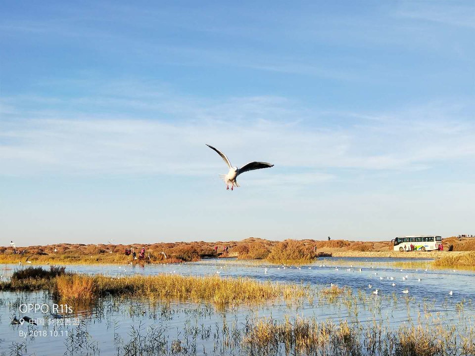 lzfRrb7mPxWoamVqiUYG0CBBnkH5IearpkXND2VUD8Je2t-zSEryGjsejB7hhYu4