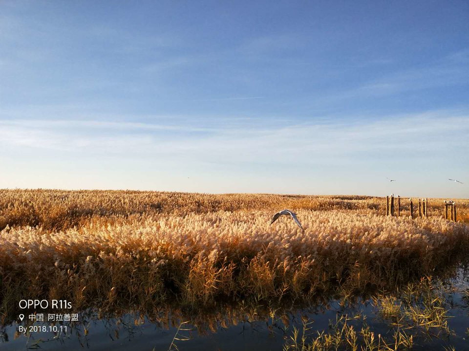 XZWYmg2qlJGmdazGCufEg0R_tyJB9FLckd8lPbJwM4Z4eOv9YRc8rfk5oUQCvBZZ