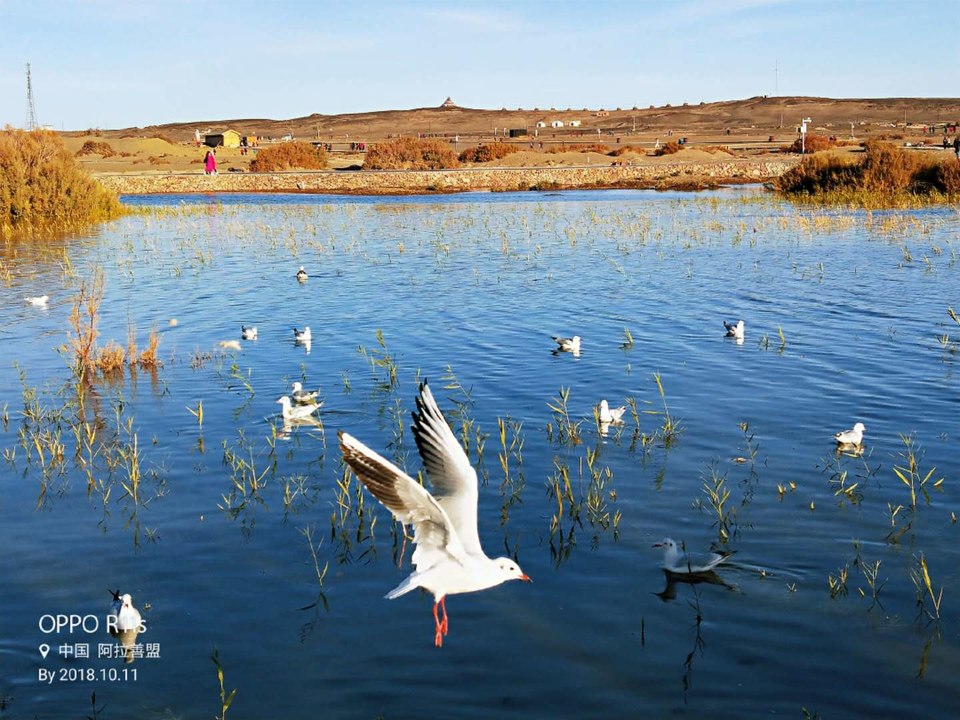 IvK1xezPT60g0phVfwgfQdOO9nk84vRQMuar-V0nwzBTFAsnA4DsrEdwf2n_LKnp