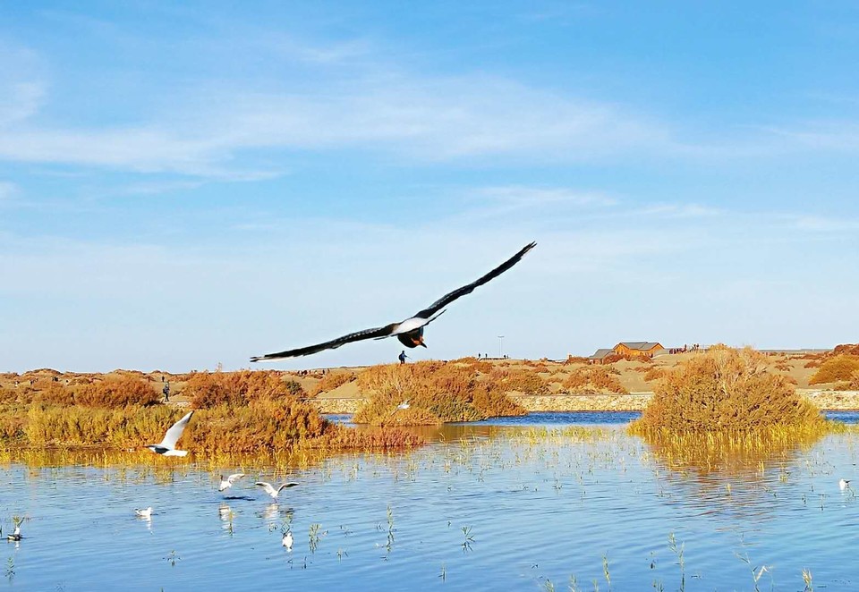 vtbNcxqlW3VstkWLd-TU2rjJ6o87ptFuSv-cgBlTY6yO6i3oZOWgMPD99vi30Koi