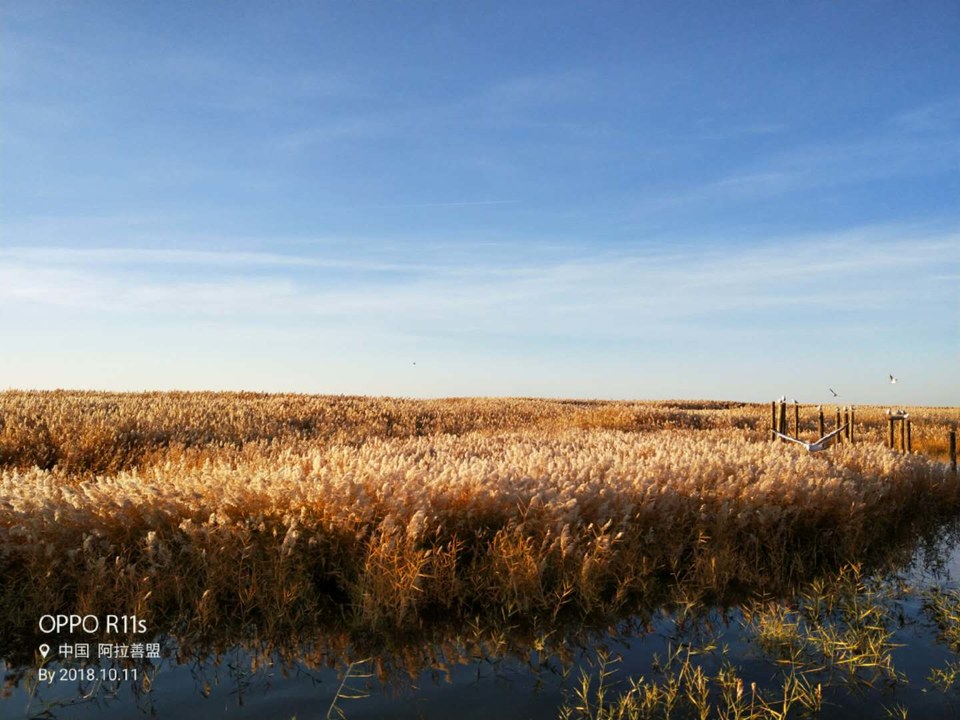 4eBQ---lSCpRRgcuzQlcd7HbUwP-ZIIYJ_9zeWLjgp2_CsFZOoxb-9LixCVbNXAm