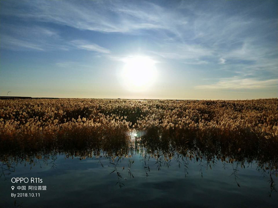 WfO45GlEGmShjVRd3u9klyCJO910k7K1fme20cvAoJjS2hFfv1YqCCOU0ODs6F7s