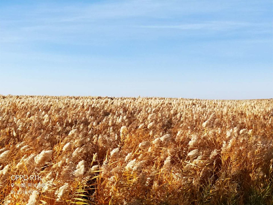 dldaEDkMEIY42lxmzC0TV4aYwPqMuuQhHV1M8Jps-znfKSWPB0Qp13BvycJ1B_qk