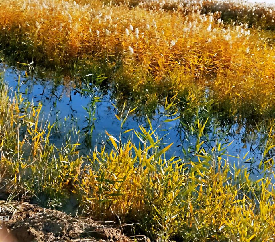 PBAKgtfgy6jfp7l-CafbyclVBmFbNP67QvLi5jLiDumSqdrLmY5UyysbbfBHh9gG