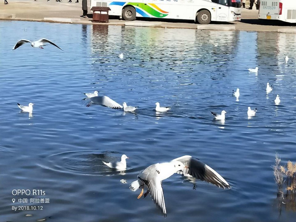 BMA3odSBv0KBN1SIjo9o4ttwAIhUS1Sot_XPMRDU60TCuxh_jyXW_sqaHJYjsc3Z