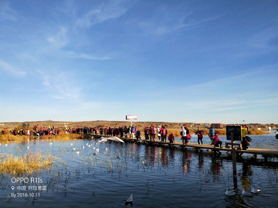 dIFszMmmfsnG6vdUq1ZykF1c8vUya0I3Wt3cvYTdEThVlYksO-j5xRVHq_uy2kev