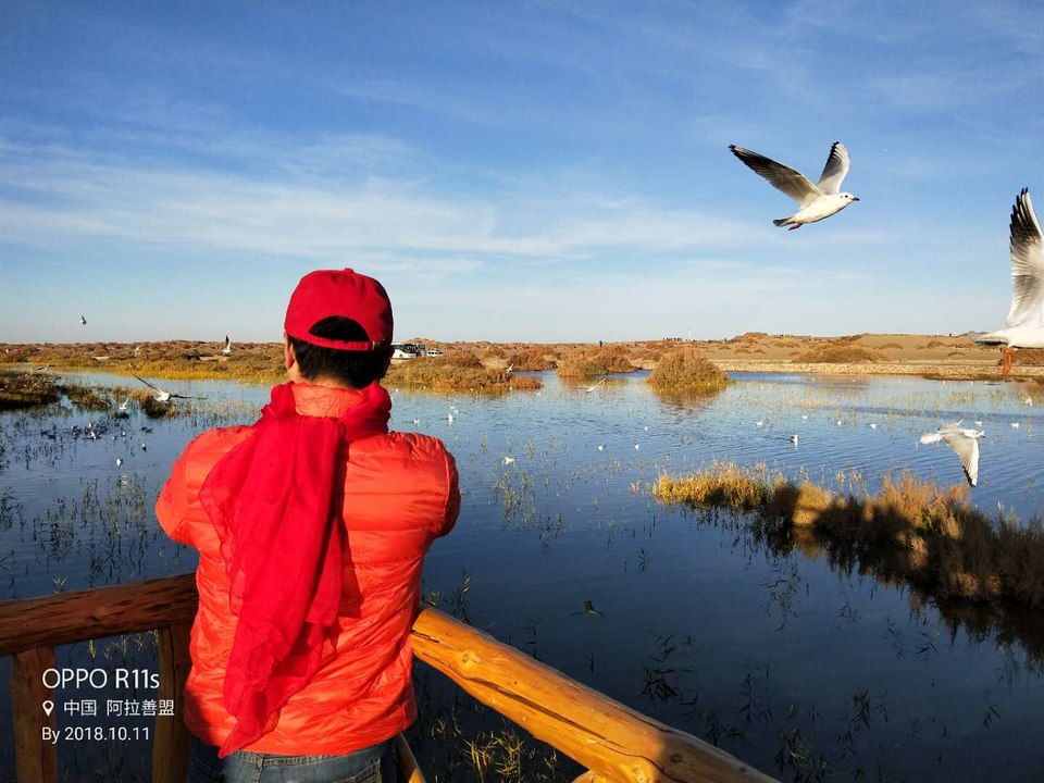 DUEmSayQeaT6oAbMm52g8FZmFaokCGy8YLidT4TIfd653HEvU4rW9IPUDqG4D6_0