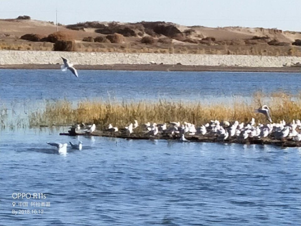 q_z6SOr9r68Wc6pBjHmANkjl223CI_zMu-GdU_uF04WXzMW7l6JSibKtSun38fnF