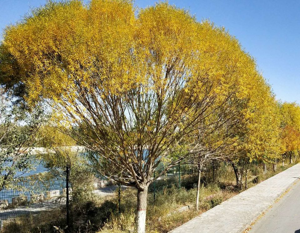 cu6_DMED-7JRSlfowCUs_mpFS8dlRm1NSoAsYwjloh4jn-D25YqoKRTUd1iL6vcy