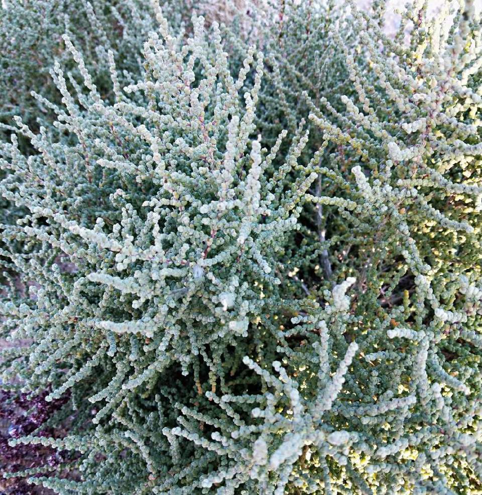 RB0Be0hXVpd-7070RE7HIo8r4tbLvlA-MYdXTSEQ6-S3zWuSrz2rk-ru0arRRwgm