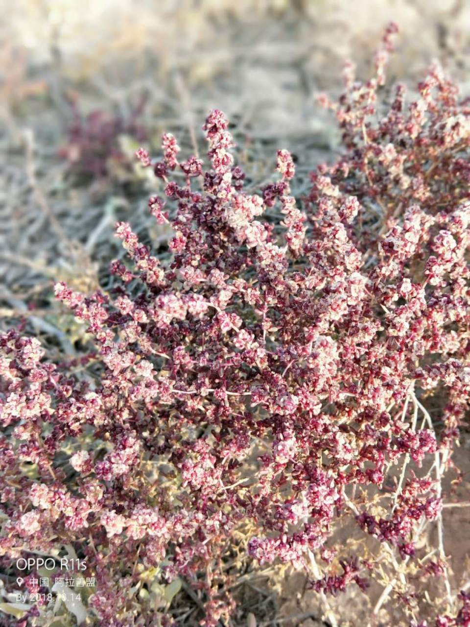 hd7JYM6-gA4tqurnBJg81yA-EVhI-Rq0vFqT4nE_GF5YCM1THonFpkhioJYefNay