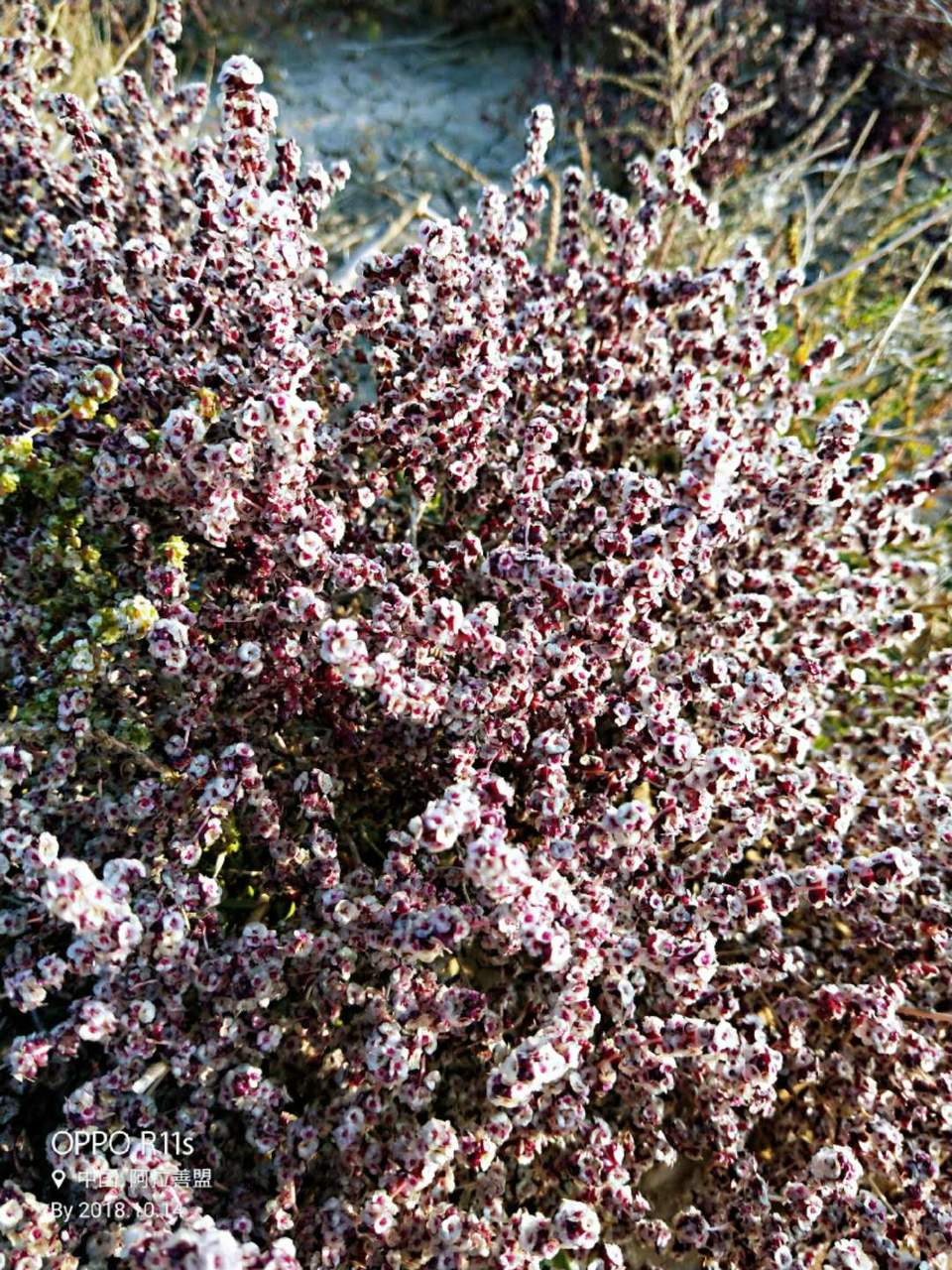 X4e_I2LJPU6fjReWrnysgc7RIMZy9MwY1LkmDV9nXS_JU8i8cwQfoi5jzbnMj7qz