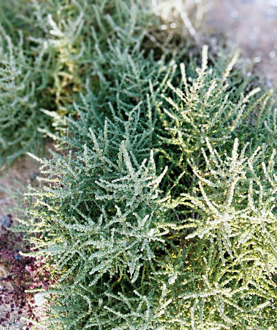 Eg2SCzDjeOWK78lrsPQAPsek40ZfmTYx_xh-TsmpqXfqGJLJlKHKZ1eHU8PeAzPu