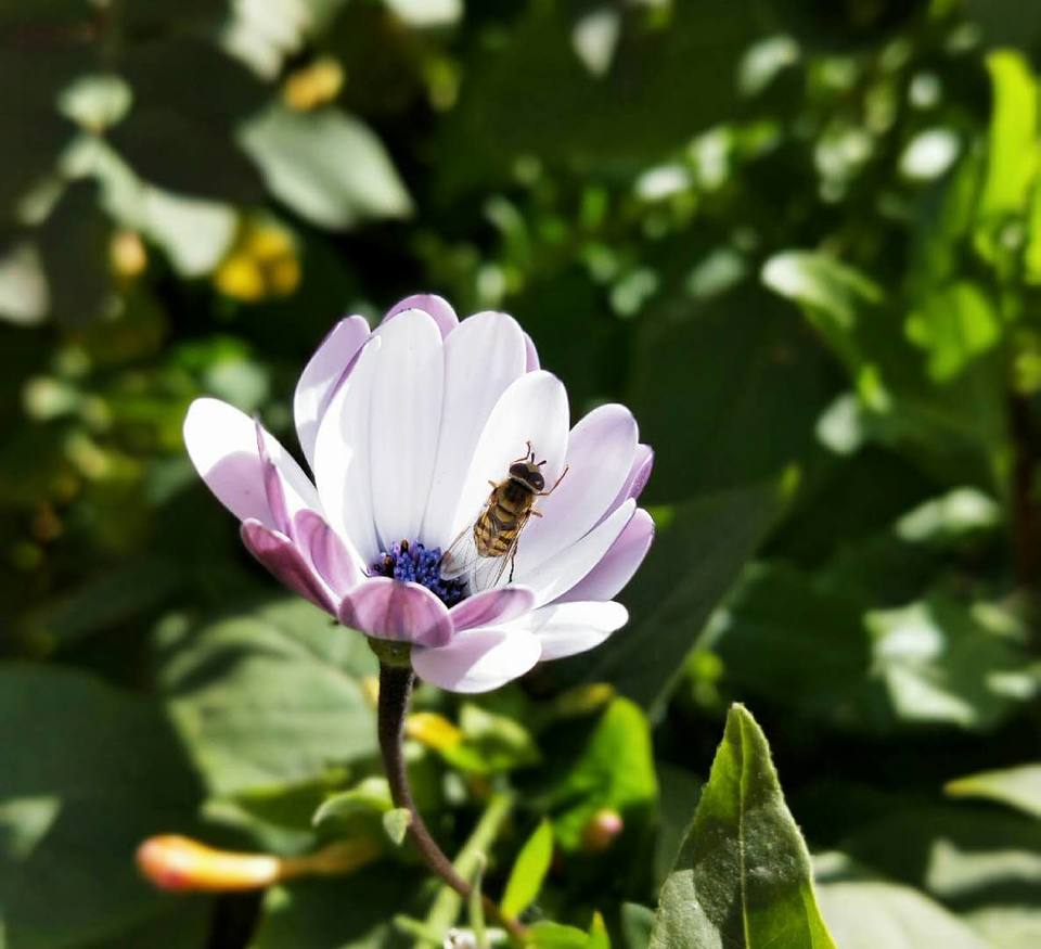 c-XVJII8-WlRJ8VpCb0ZYY7Lu3spLDTCBW5jC94wXdcbQ01gCBSSBeF6Fzz8CO5T