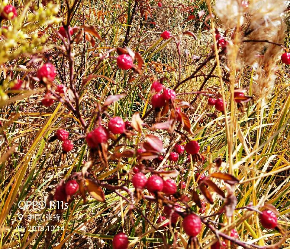 zbDMNcfTqmskf3tpz2seHNe0eK8EV3SHyHtMEEtvnSYeXiEQSlKJQcuRidPaC3hl