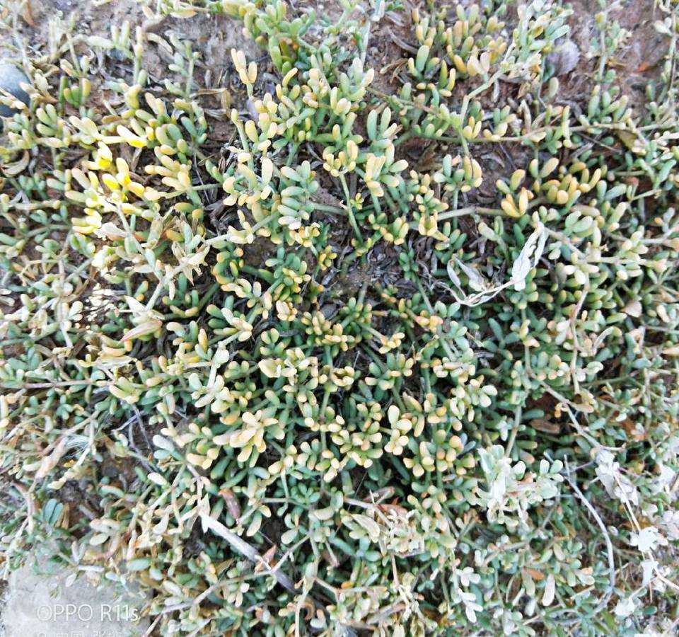 3bEHYrCuQ9xyaHYxk4dbhx382iyXKM83hXay2YFFg_yWS_EkDULti46w8-7zUDSU