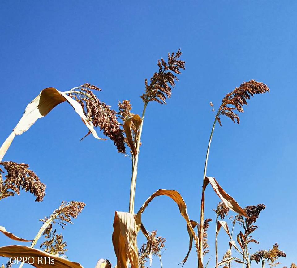 9I6VXcaFviDVV8offJpECY9Mo4gnRRv0fnZMWDiPEIa7TuPmMmq6hIaHimbw4e-y