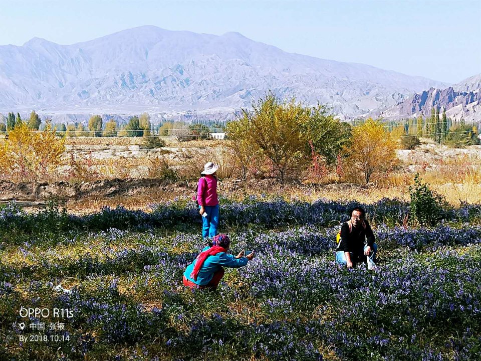 e1AkxK2uZl6pBTBHfnvFUO7O60eJ7VsC8DVi8gh1EgucQx6FKBdsrkrusHtzxwDN