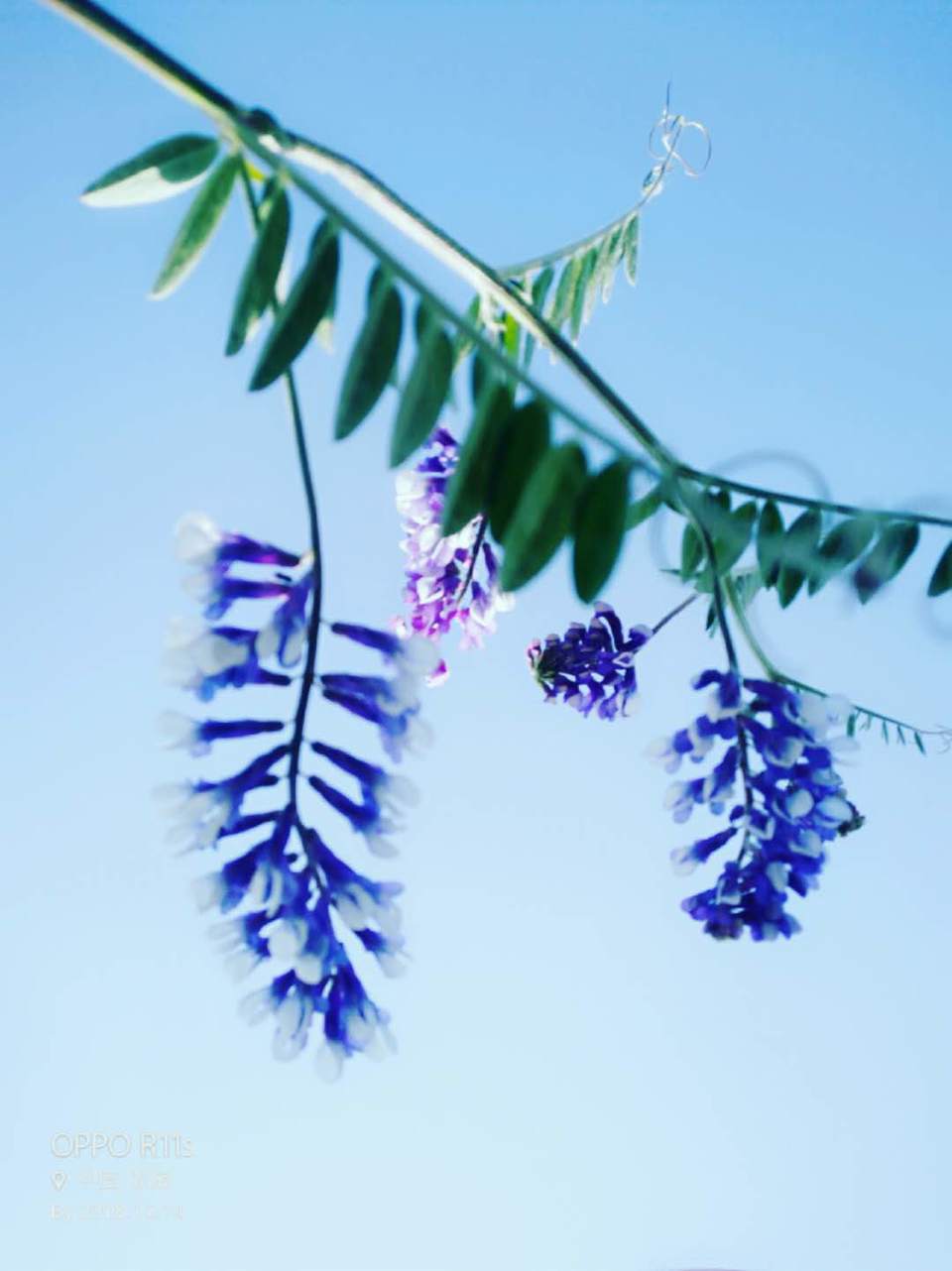 lzkapoEz600z9TJB6qrka2ngf8mbxkxDByfDjxCrvinJoYKDnquUwhjq6StxMF8I