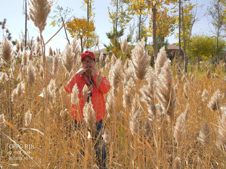 9zElMW8TRzTia0GZc3RYlQoyxEC7d5aX4qI8tz2_osK64eem4RIGopz9ZvXI6_P5