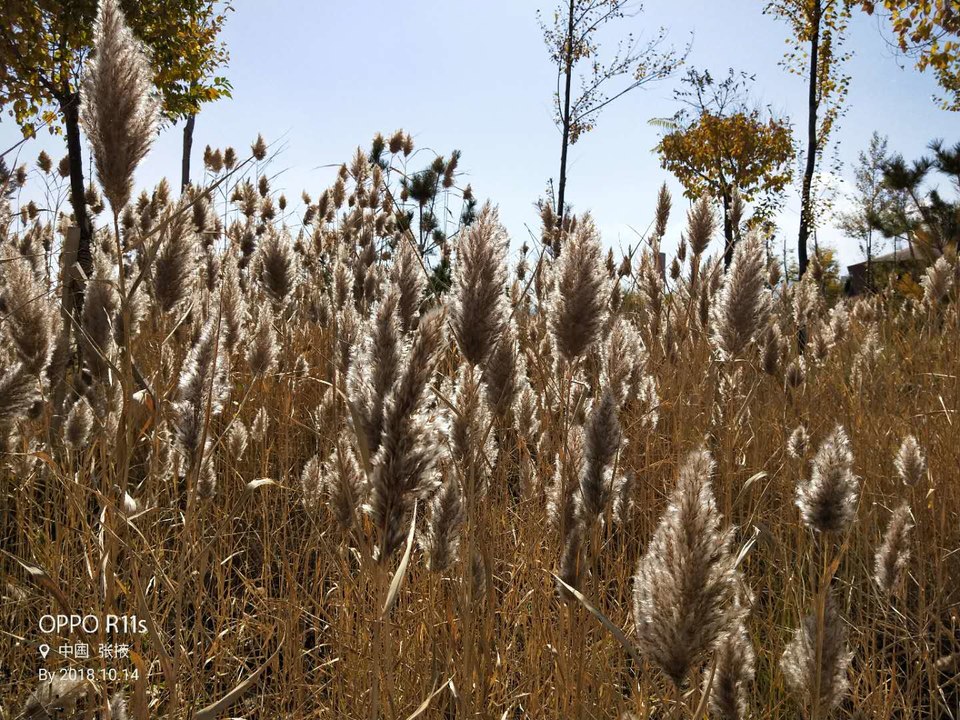 iOTp41aZRwqJme1sr28oqncG4Hrzw0E3Pj0U5T3Wfl9tigV8XDZiFfb9T4LizCBN