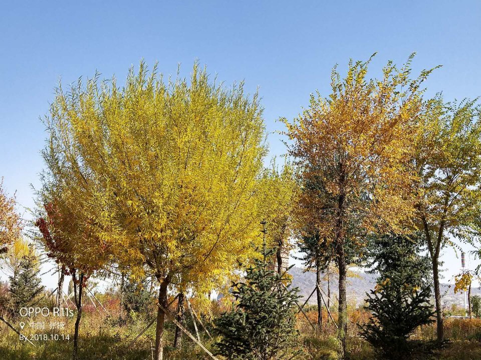 _XRW0rtAfZIpeqkWL6nH5ExZVDOgXWqM8CBrmUYUrgw2PEPBoCVDsNNIXGlz72-q