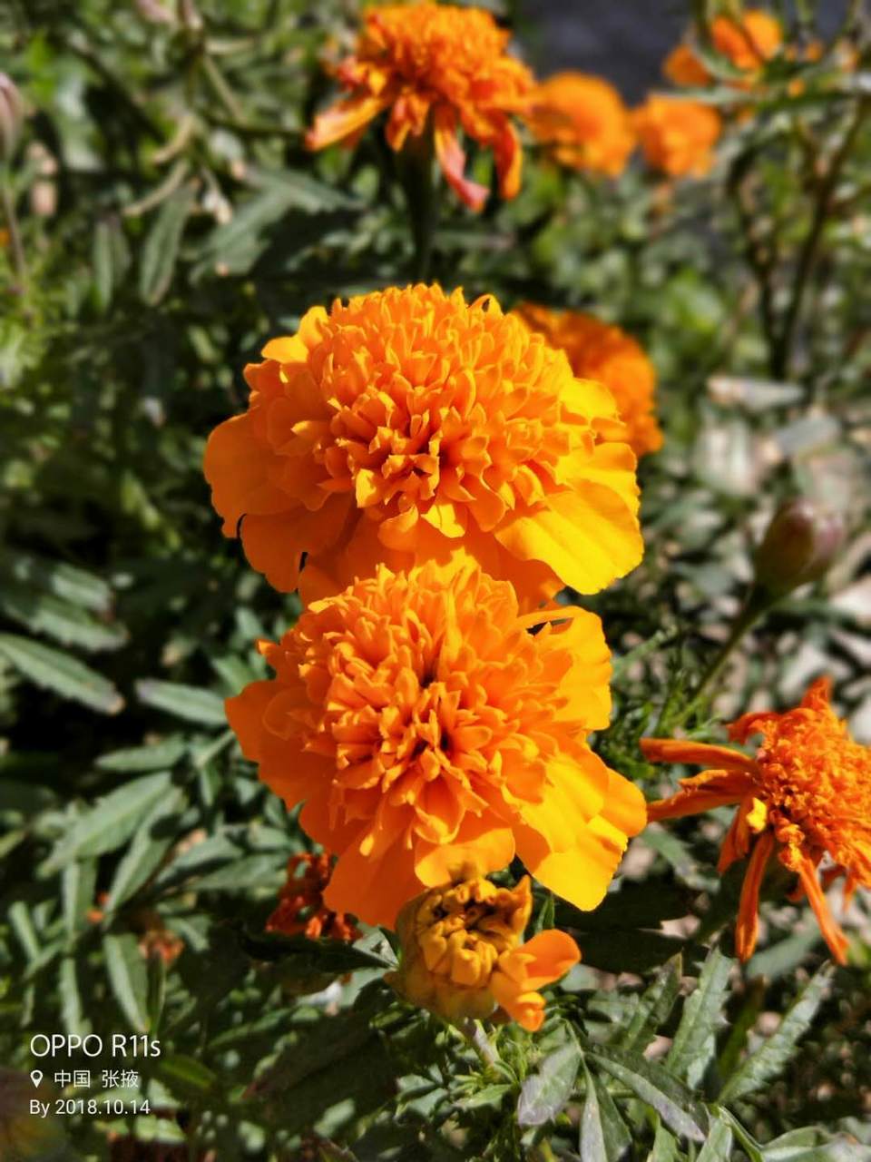 N7k9h7aITlo9BjHDNM7VUggnLIEEXLpBUtDqtulyl3scRBoOs4erXw9XxytrteXc