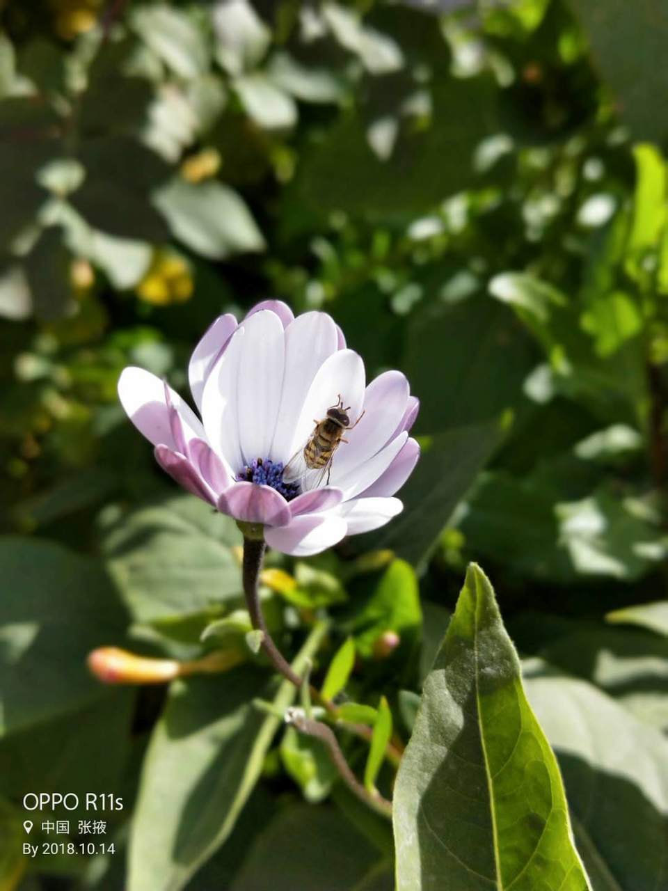 fOA_hDOw8bB9RGqfDL71-qtcpIjxI_6GzXEBE3C9yeXNcaZc3wr9Y7UxXJqXtMrw