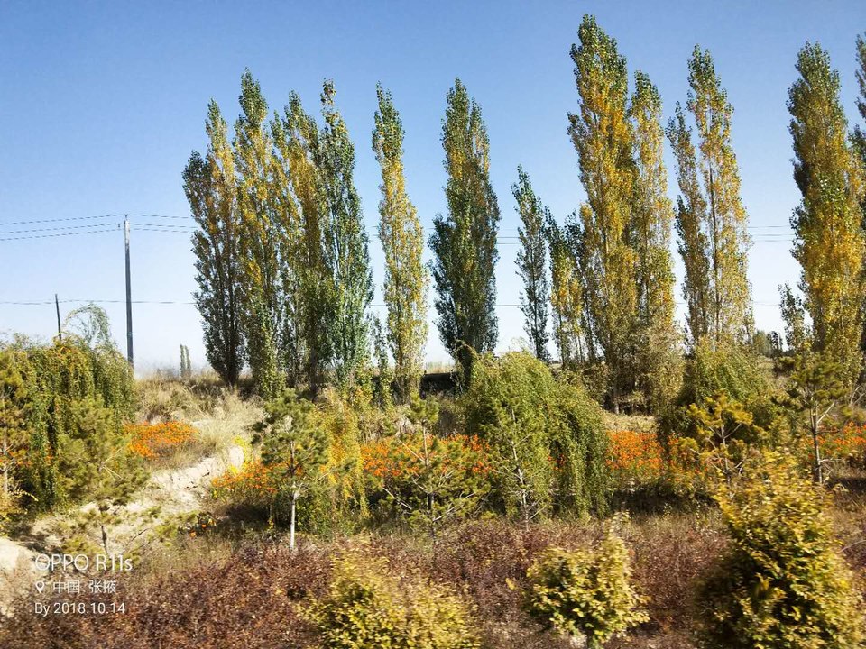 spBQQhDTPWMbDR_JT9VoqGn1ivFnZ0gKAyBJmqldWfNIPwM8Ho1JvBF-d1LkU6JI