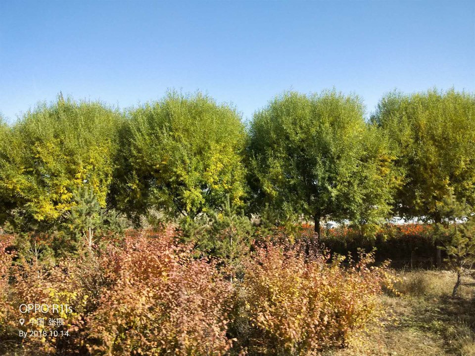 QctWuQujzEM8r5ge_e-23YSQDnQG8e-9sef8nlQ65Iise9iNj4cYJWpIfVf92UFQ