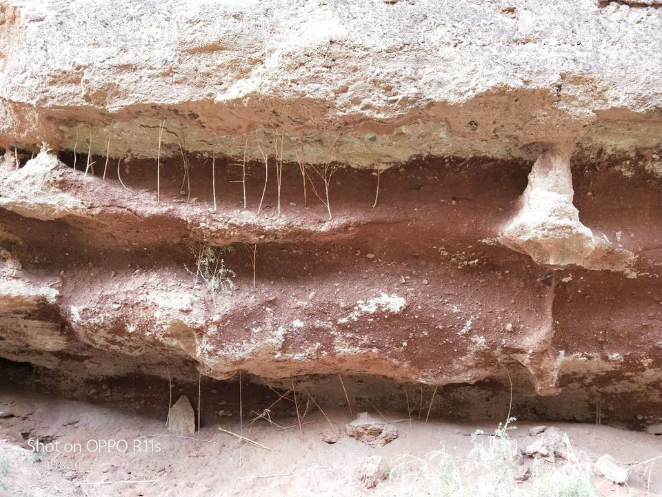 xs8LE5oD-mXN35q7Bl3BihBXViXpTJd_mPYqbafXpegOfofjL7M4iUZNAfppFJUS