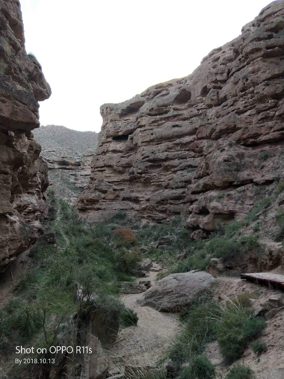 id3IiXHL-C7OP0IDkIvR-8Ej7WzG0zWtK40dNBM9FUmlaIKdErJDsXlqq6KITyR2