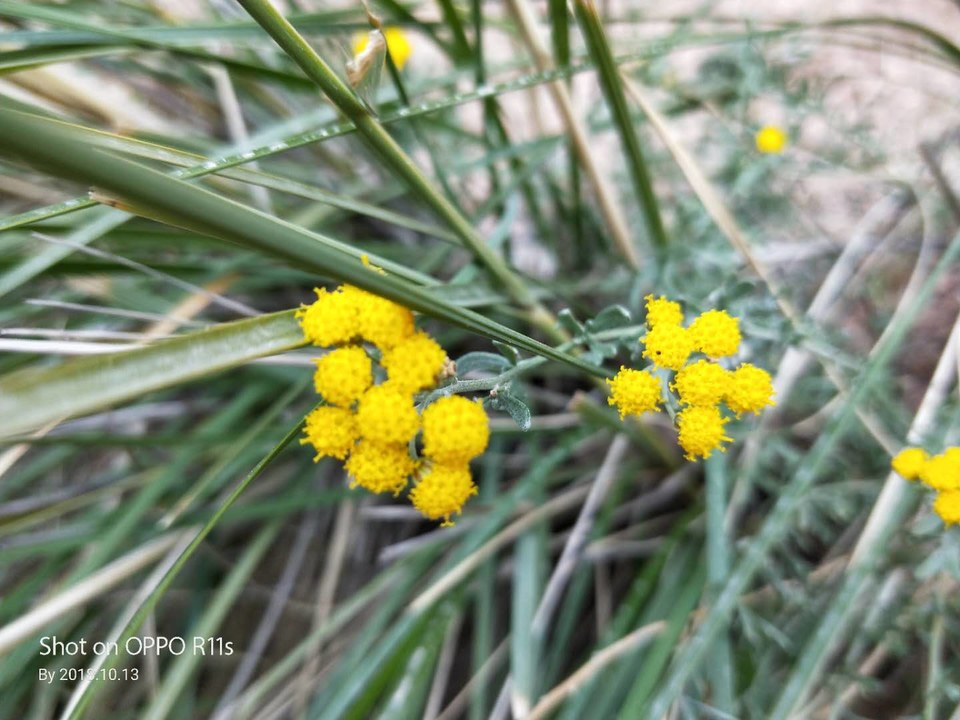 s2mnCPV_y7qAJknitCpYXJ2rfOCippg8awSdjrmYd_2RnkJoU7k1dgwYNheO30pM