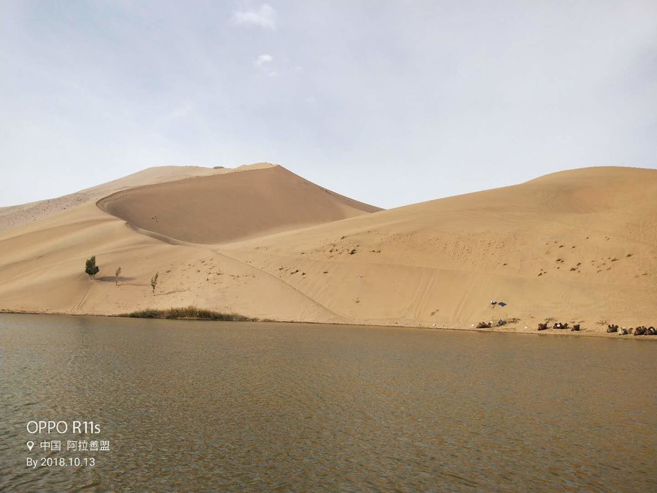 p09niET6trU2zDBORTR6xBcncEsCbCjlyCwwAUVjmSilJZ4ewoQKvuCVB0YB7bHQ