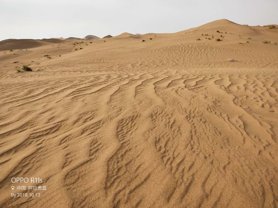 pcVMkUoNghZyTts_9ph4V2tkqsZ4fpFANqeaD0k3y2MgfnczFdQfG3k97buUiV40