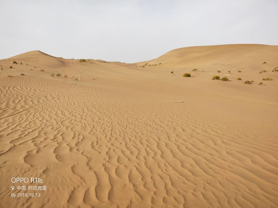 KP4cwz2Qr1j1RgmYHCteNgFKMPyLUTac2ZW5qCPhiURVHgfXvfz7clZgmcOGk0J4