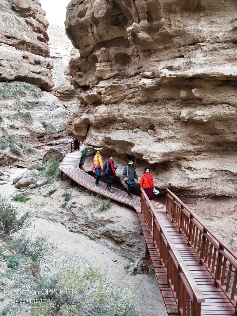 7rq-TCXJY-ruhvY_61r4BwTRFlZEIGD_N81bg6iqBb6IDFxj6U9F9sSl4OMcXzu1