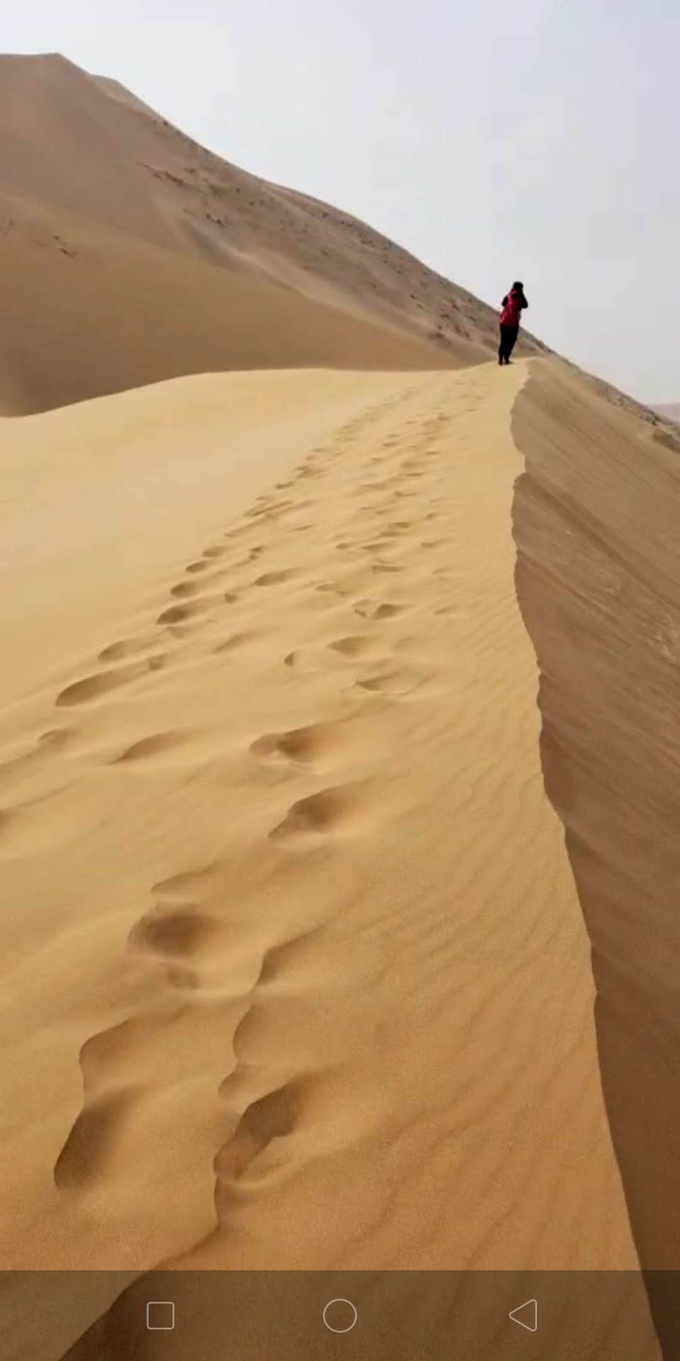 0nON6nLM2vd4YsFgb_upMV-kNkmTEaFyK7Q5adlRzinxWiD3g844-PHezayG8tM7