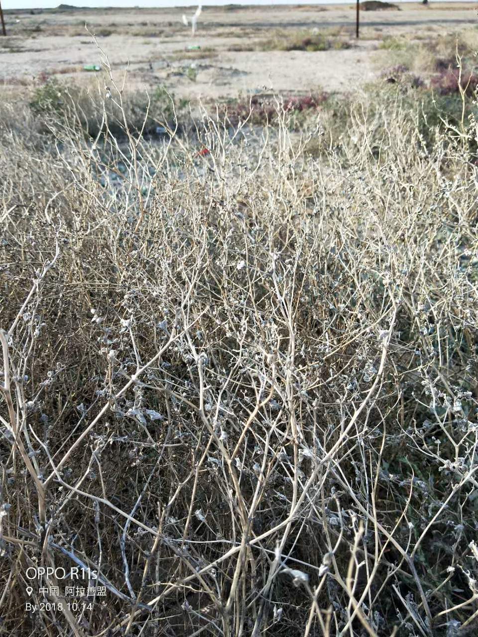 uJ20kPoIts0Hht-DRAqdcj3vC2ER724iqZCaD_6Wt6p2B7tZzG82T6U-CWoD1dLs