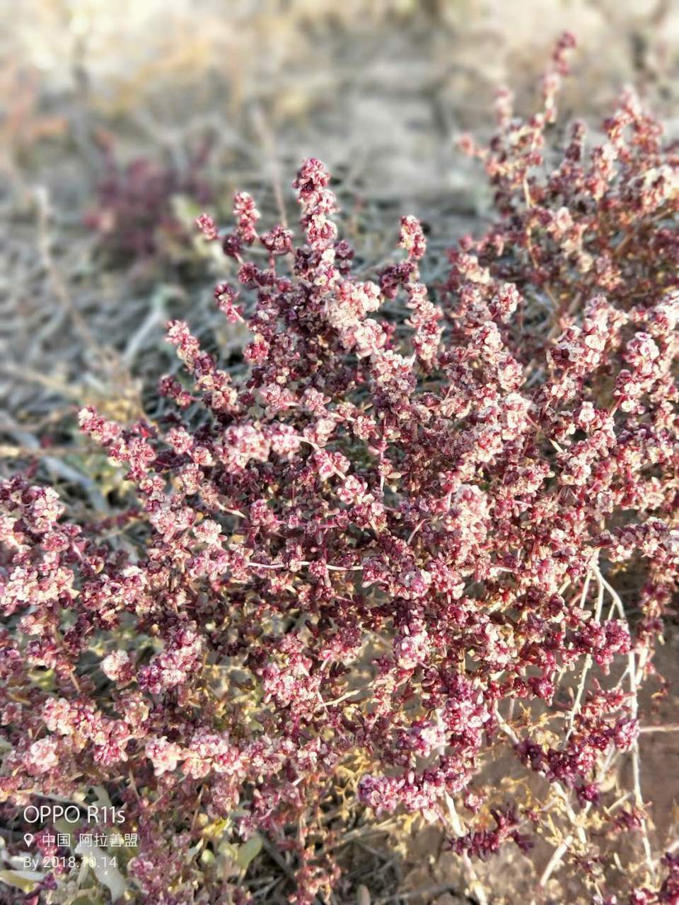 3bEHYrCuQ9xyaHYxk4dbh9tScgHO-kyeQji4nSXMK7qmFDZ_mre7xVN_bT6xHVXW