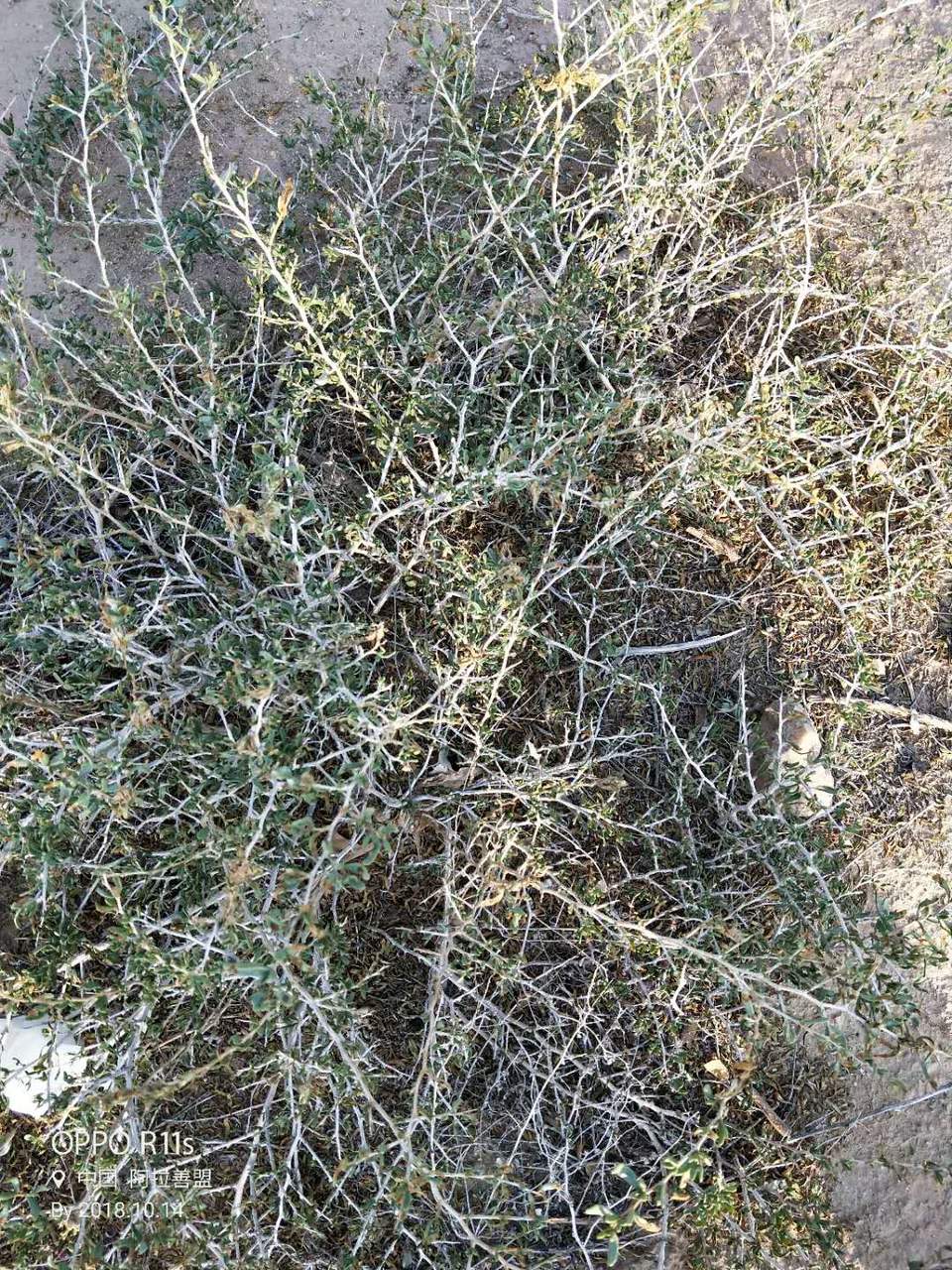 G4F6HGzRZh73Mia69_5KTPp24_kO5NPCZrPBJXoxVBiV0kiyDvkaGPQu7XTfAl8t