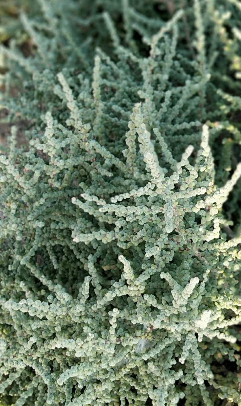 aqw3nt0KJgXqhMsDmGyCEsX8HRlv4mi68Mj1CpbhkjzgHX17b6yAsx-UQgsqHVfe