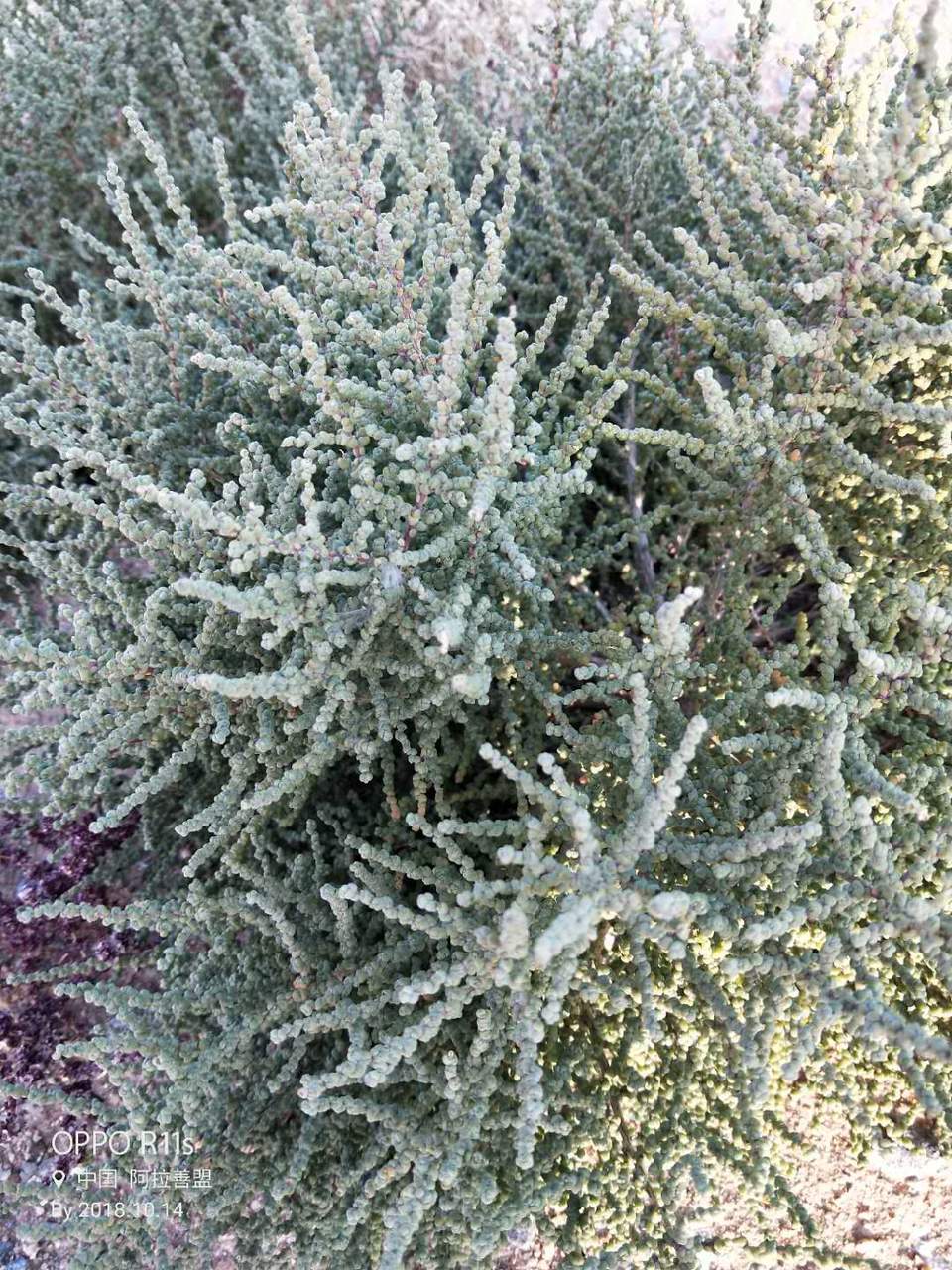 pFuo_uBFSN9mdRUr8MlX6Xh46H28HOjYGSUhYZkzqmVL-ufijTGtbXKGu9e6Dft7