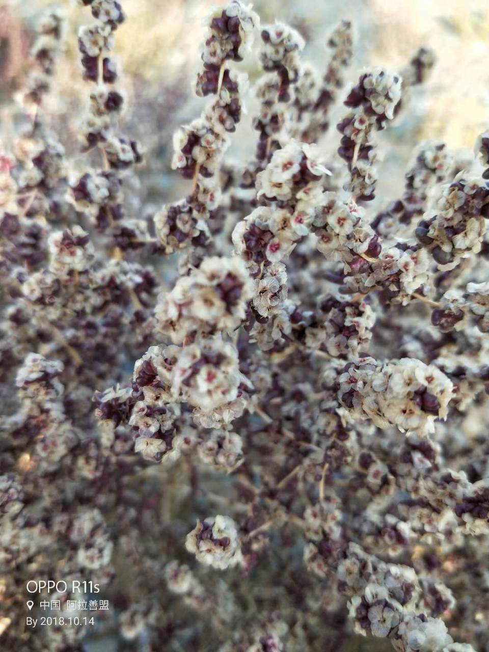 rKWfoYbv4Fwc0PPio0QDgv1D8-Bx3FowC5j2DGHZ6vJBdFGoJ8zS1qdt9t0Oefwx